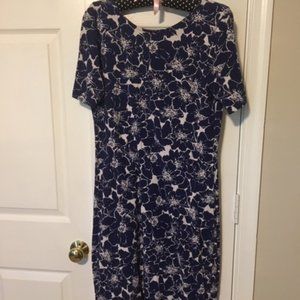 Lands' End blue and white short sleeve dress.